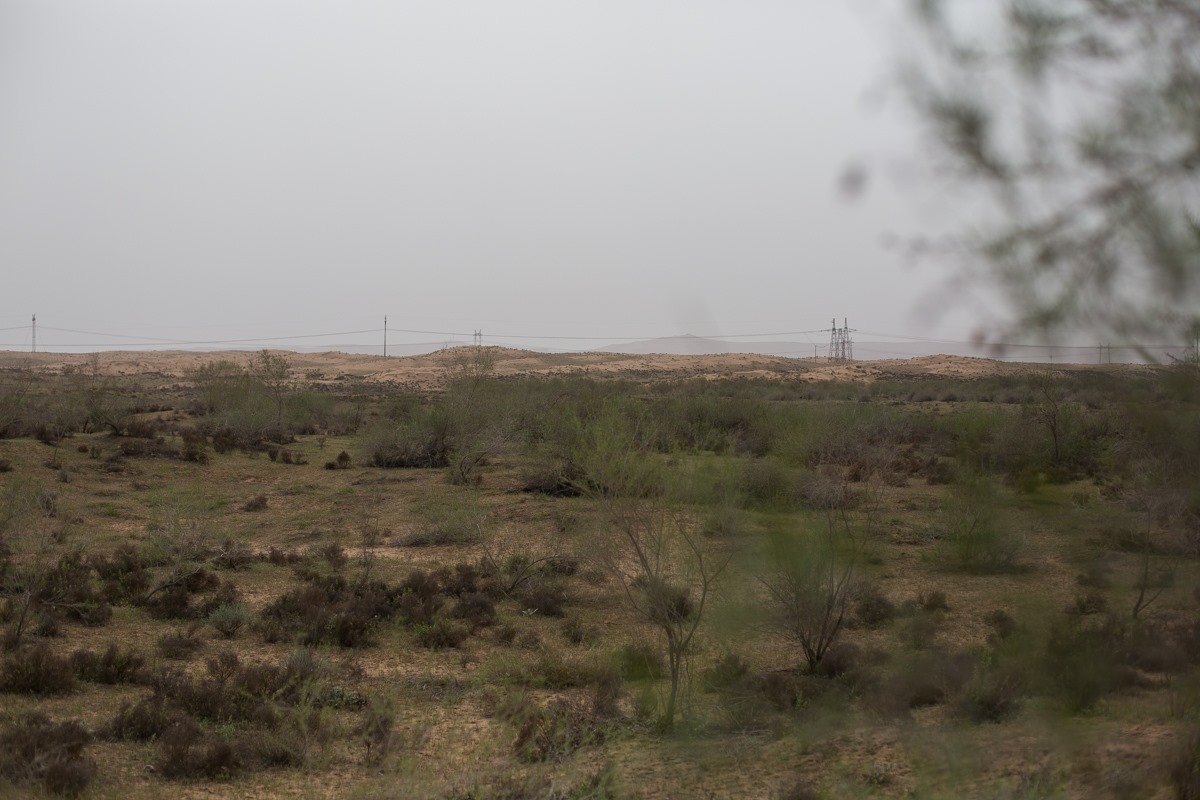 1_ELF_2141.jpg?o=4&res=8&p=y&pid=1016010