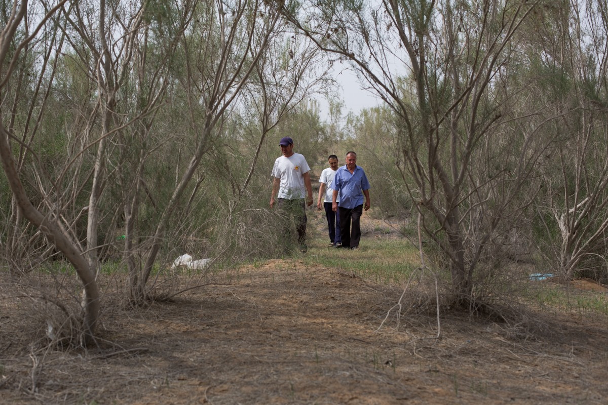 2_ELF_2082.jpg?o=4&res=9&p=y&pid=1016010