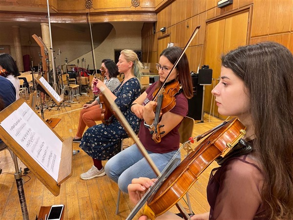 Violin Section