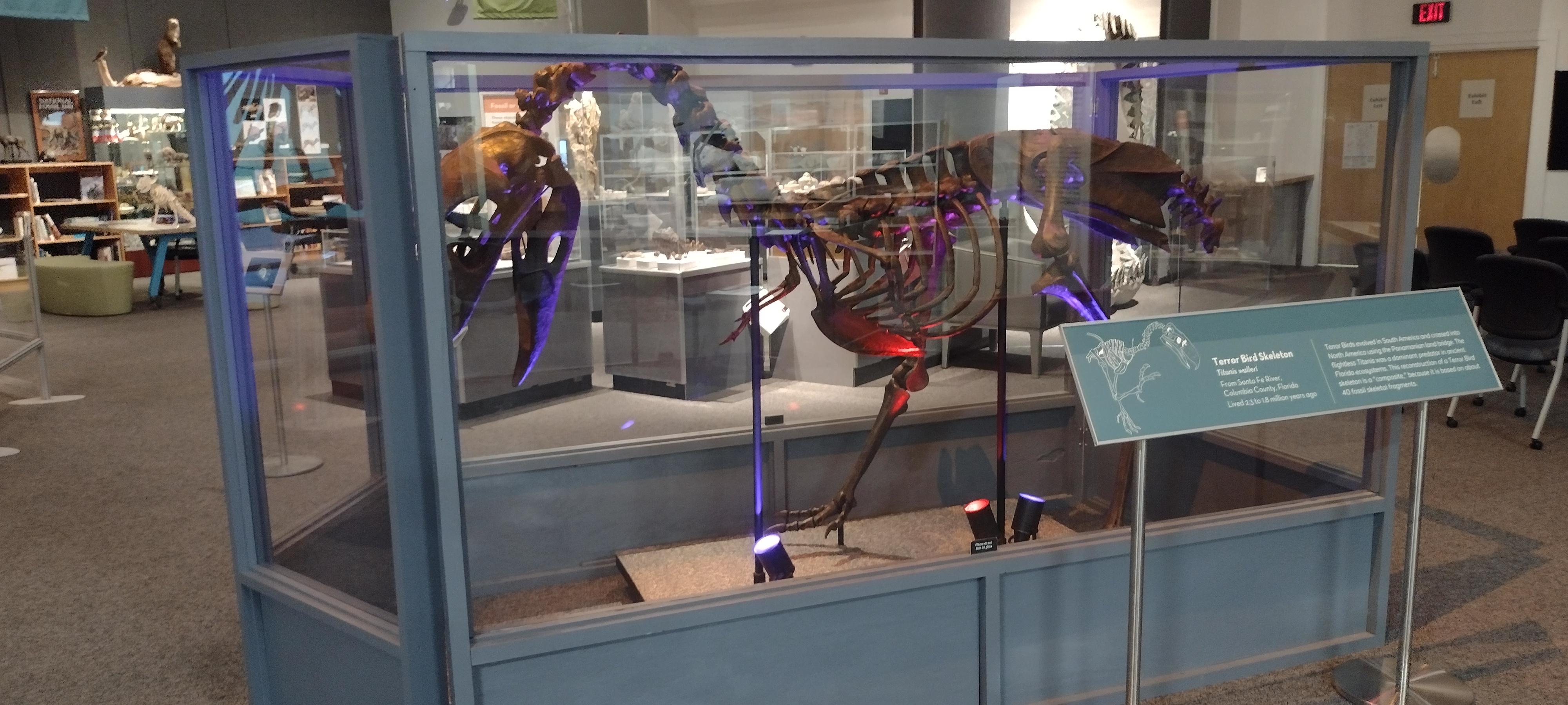 University of Florida Natural History Museum