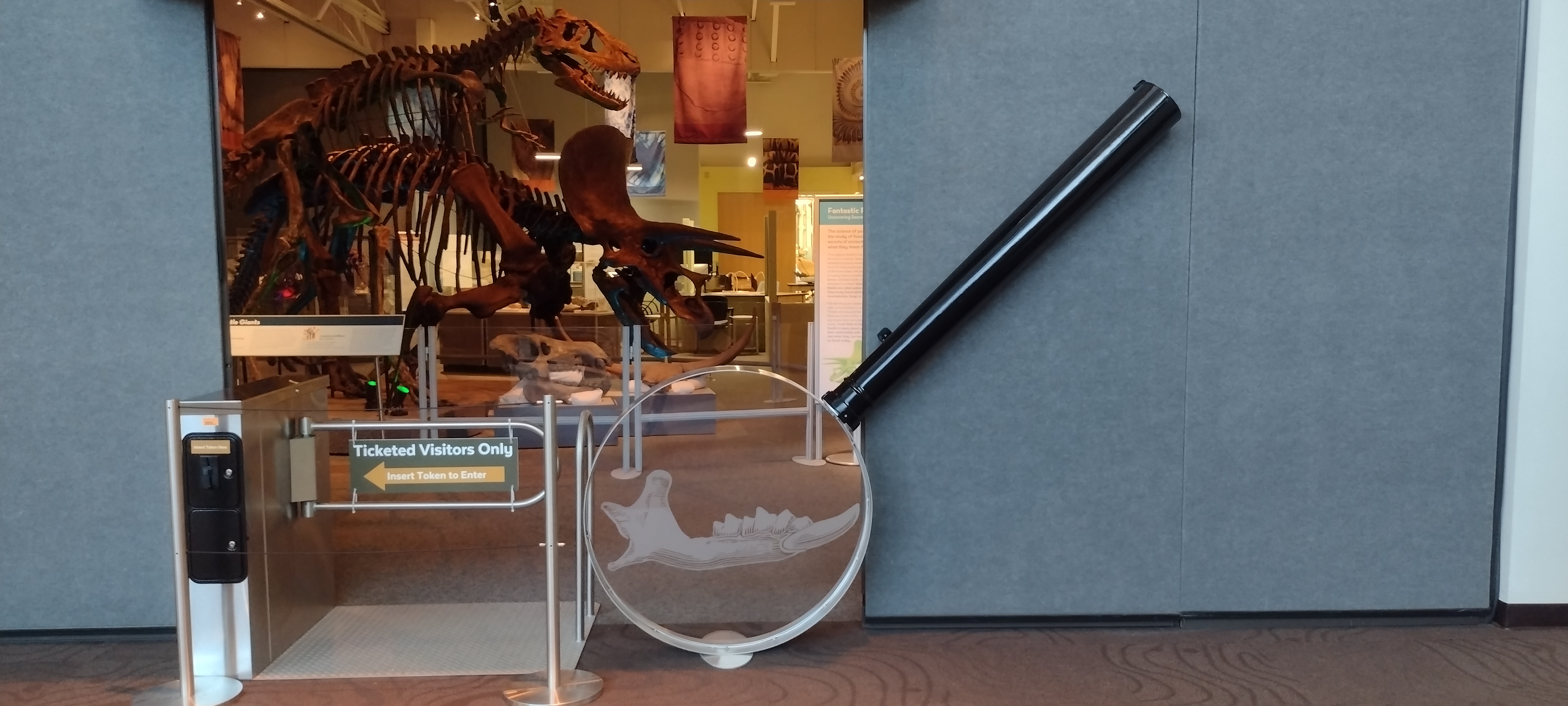 University of Florida Natural History Museum