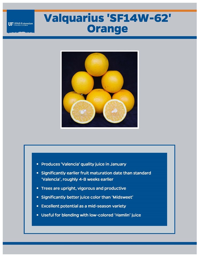 WinCo - PRODUCE FIND OF THE WEEK: Peelz Citrus Mandarins 🍊