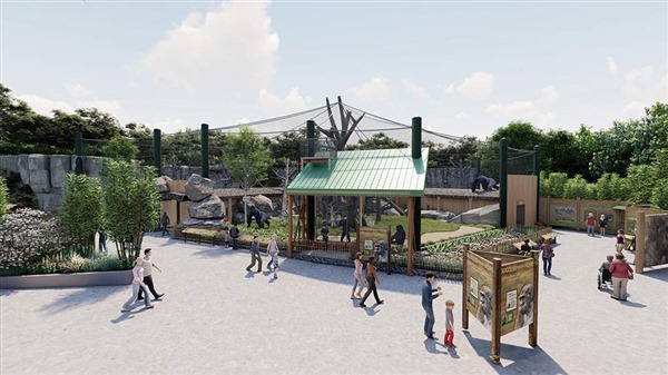 Franklin Park Zoo Announces New Outdoor Gorilla Habitat