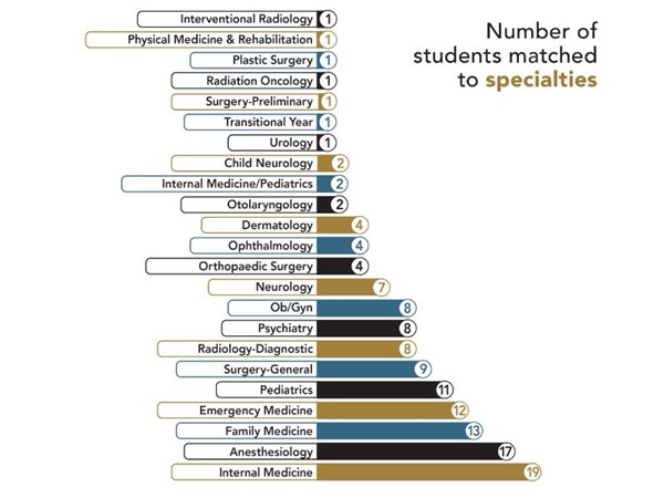 medical student specialty chart