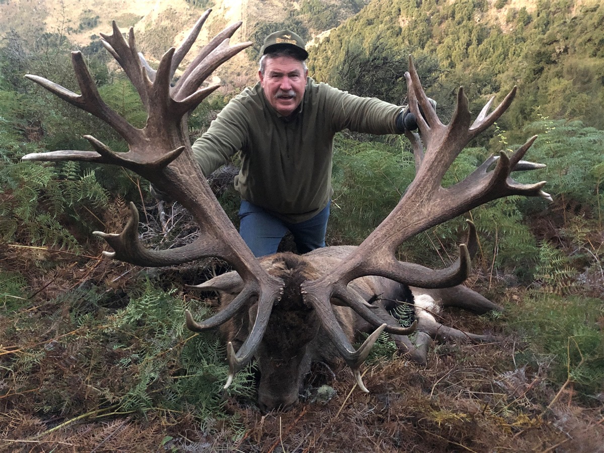 n*r様 蝦夷鹿hunting trophy（deer skull）天然 n*r様 蝦夷鹿hunting trophy（deer skull）天然 - メルカリ