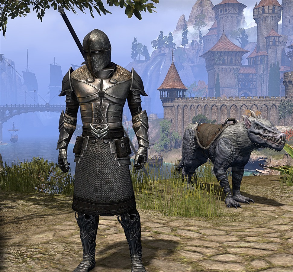 Teso warden умения