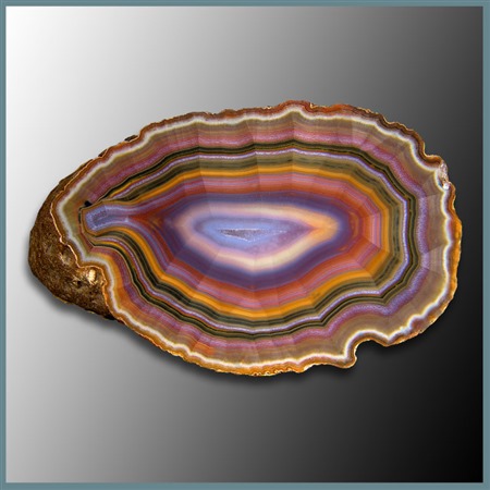 Gallery: Condor Agate| The Gem Shop, Inc.