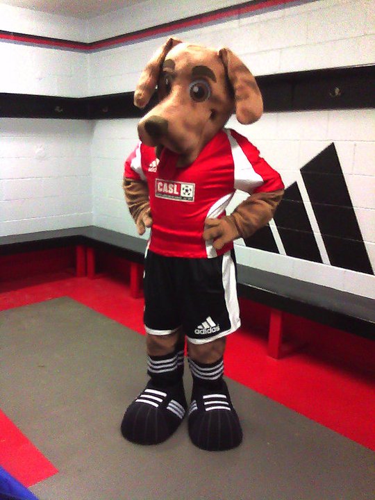 Bam Mascots In Action A Testimonial Gallery Of Mascots