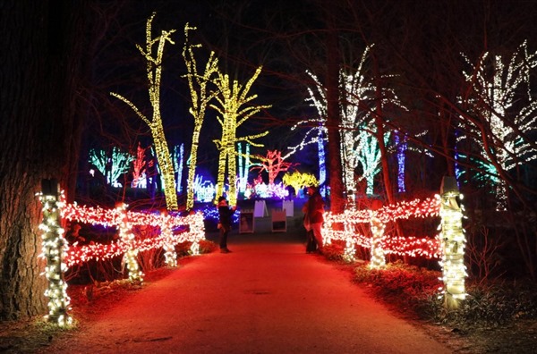Directions Meadowlark Christmas Lights 2022 Winter Walk Of Lights @ Meadowlark Botanical Gardens