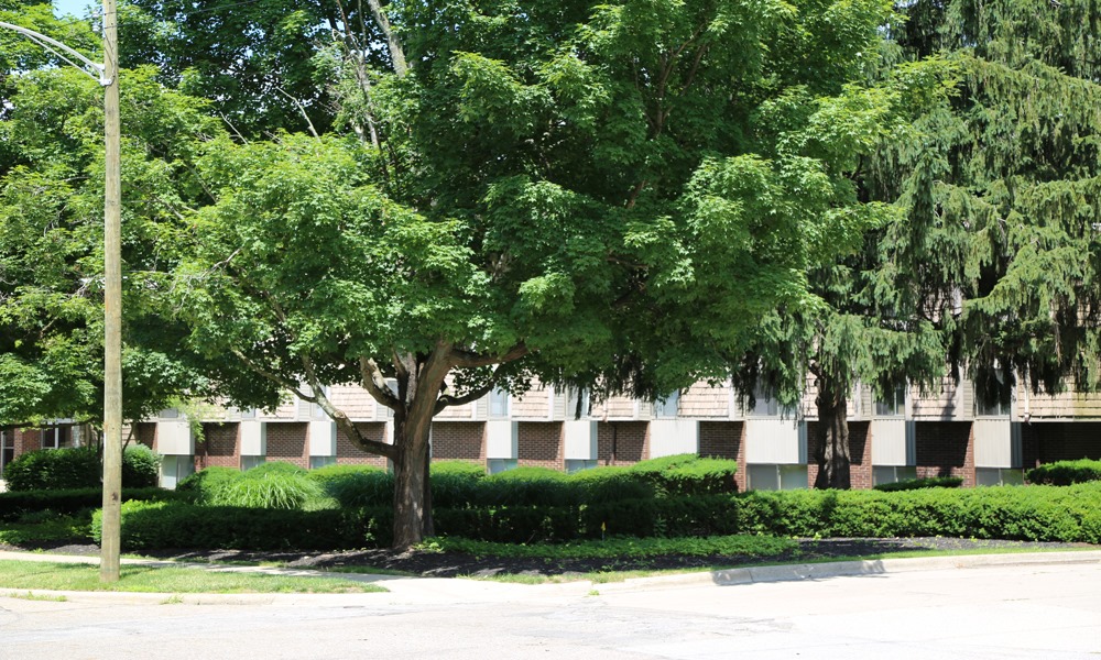 Riverlodge Apartments North Columbus Ohio Apartment Low Housing