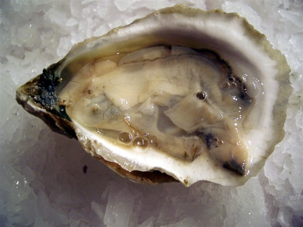  How to Shuck, Serve and Store Oysters