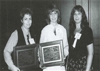 1996 Innovations in Accounting Education Award