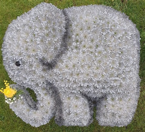 Funeral Tribute. Elephant, Baby, child  Tribute