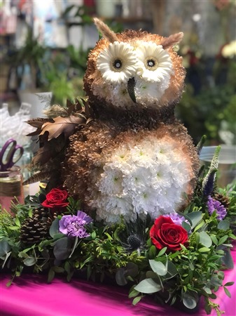 Custom Tribute. Owl 3D tribute. Woodland Owl, Barn Owl.