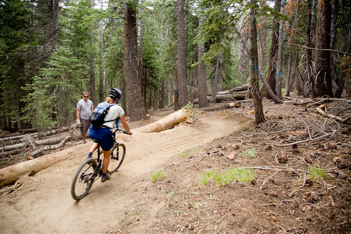 mammoth downhill biking