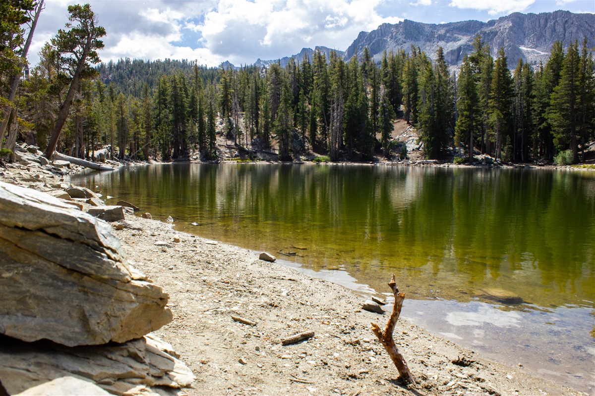 barrett lake camping