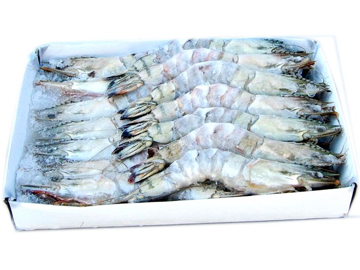 Gallery Shrimp Processor And Exporter In Bangladesh