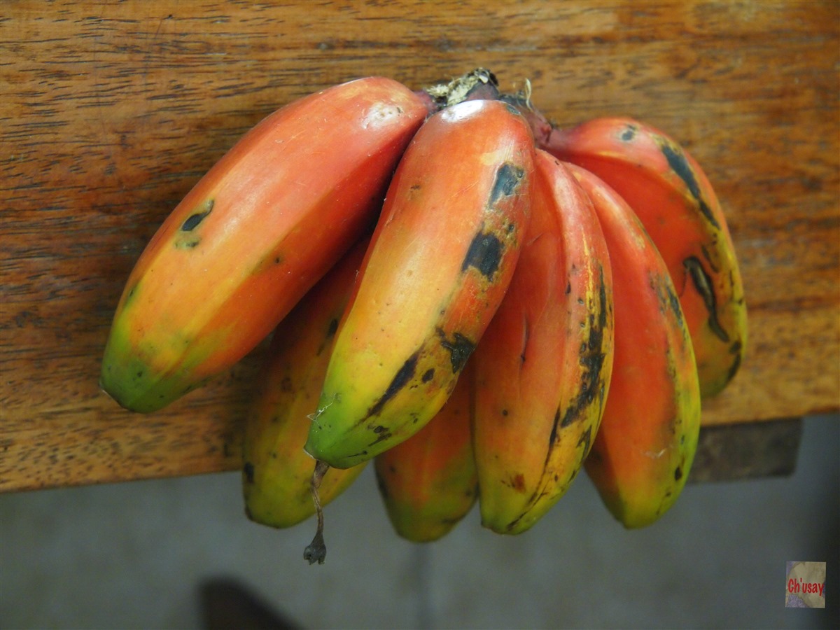 banana și vederea
