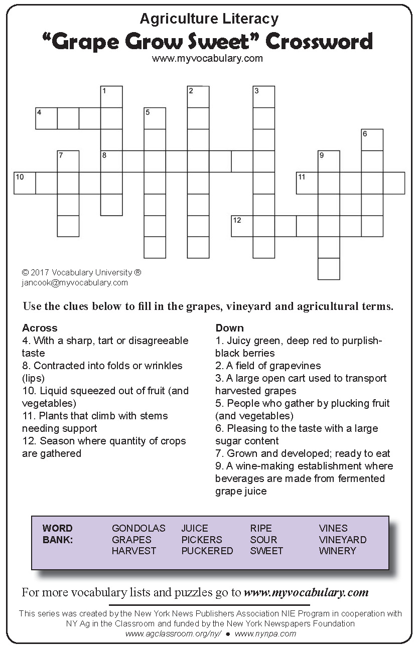 Large pears crossword clue