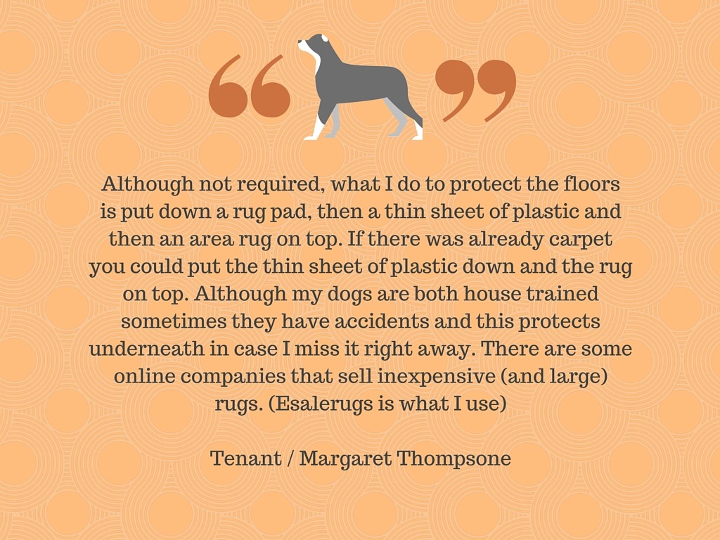 renting a house with a dog