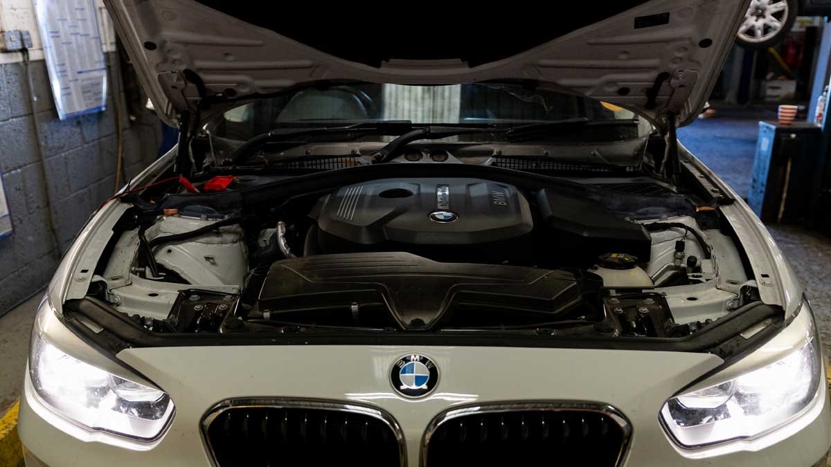 Gallery Hermitage Garage Hailsham