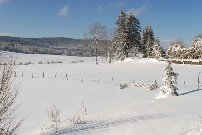 yourneige
yourneige