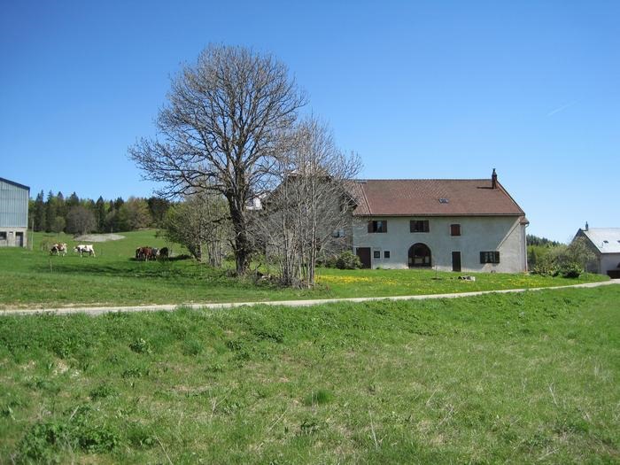 maison
maison