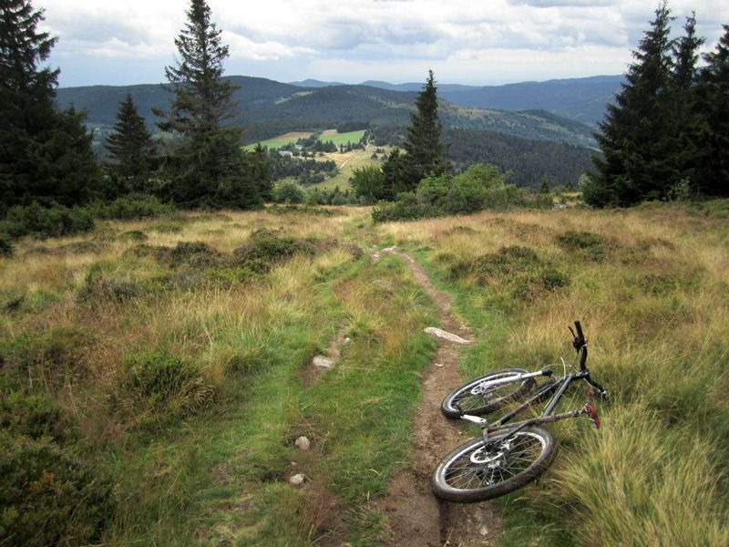 vtt
vtt